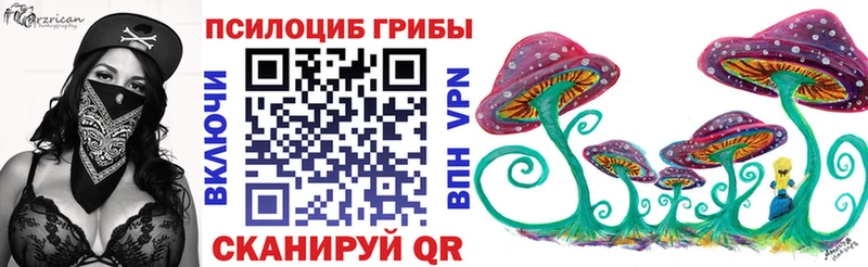 Псилоцибиновые грибы MAGIC MUSHROOMS  даркнет как зайти  Змеиногорск 